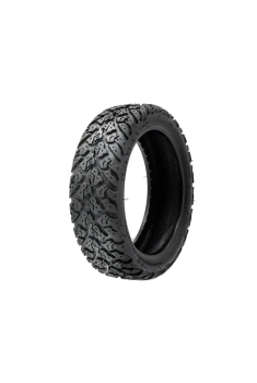 1689 tire 10x25